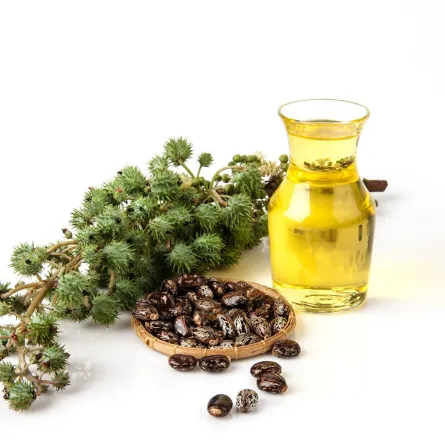 فوائد زيت الخروع