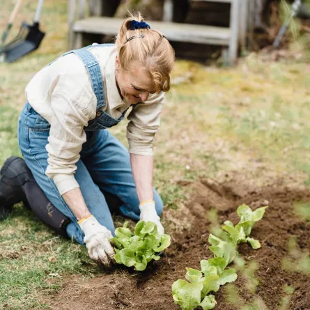 النباتات تساعدك على النمو وليست مجرد عامل جمالي.