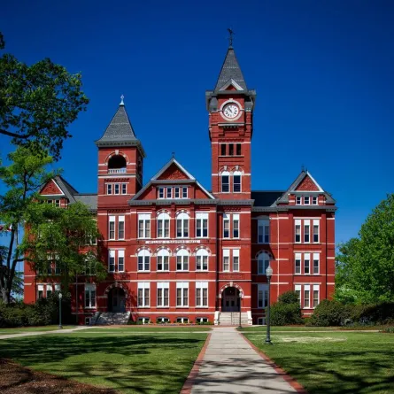 أفضل 10 جامعات عالمية لعام 2022