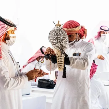 موسم الرياض يفتح باب التسجيل للمنافسة على كأس الصقور