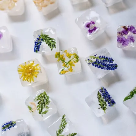 مكعبات الثلج