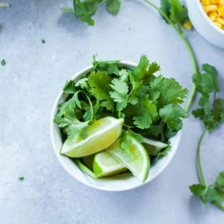 فوائد الكزبرة للنساء