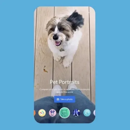 صورة الشاشة الخاصة بالتطبيق