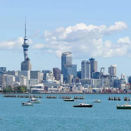 السياحة في نيوزيلندا: أوكلاند وجهة مناسبة للرحلات العائلية