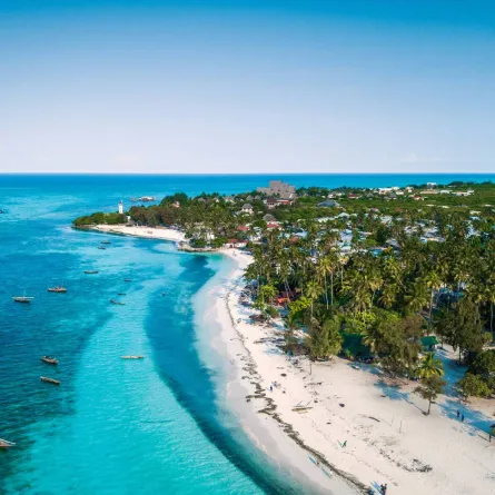 جزر زنجبار مثالية لمحبي رحلات السفاري والاستكشاف