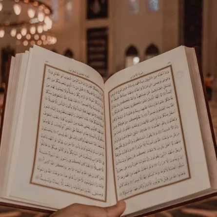 حرف التاء وأنواعها في اللغة العربية: