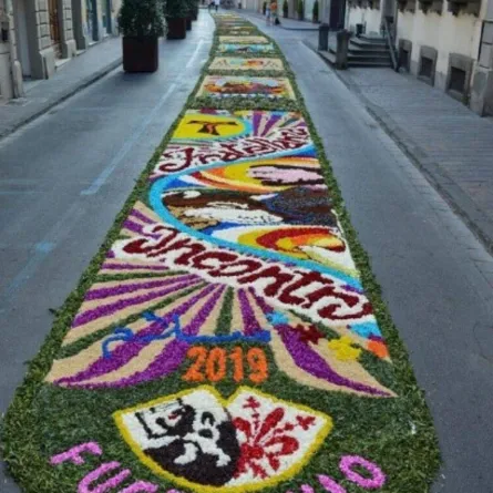 سجاجيد الأزهار فى إيطاليا