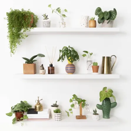 ترتيب العناصر والتحف على الرفوف بطريقة غير فوضوية