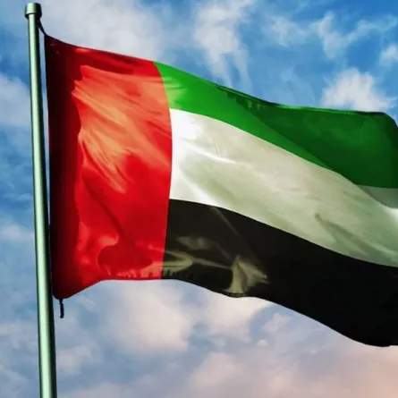 الإمارات تستثمر في الزراعة الذكية مناخيًّا. الصورة من "وام"