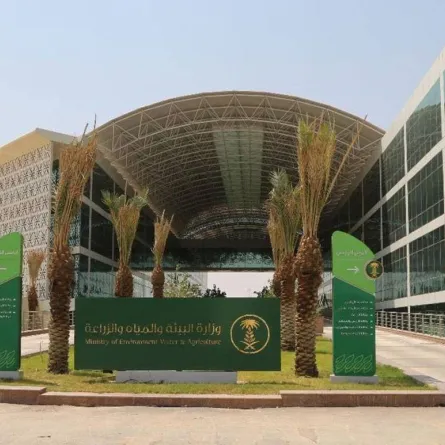 4 قطاعات يدعمها برنامج ريف في المدينة المنورة