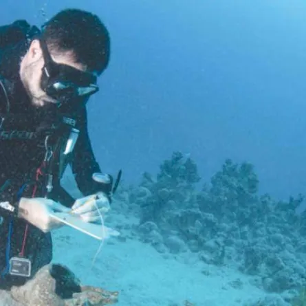 البحر الأحمر