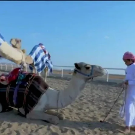 قصة أصغر هجّان في تبوك