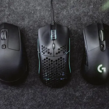 صورة لمجموعة من "الماوس" 