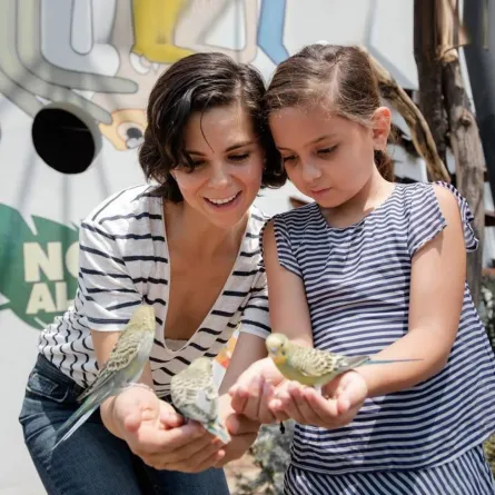 صورة لأم وطفلتها وعصافير