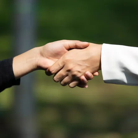 صورة تظهر شخصان يصافحان بعضهم الآخر