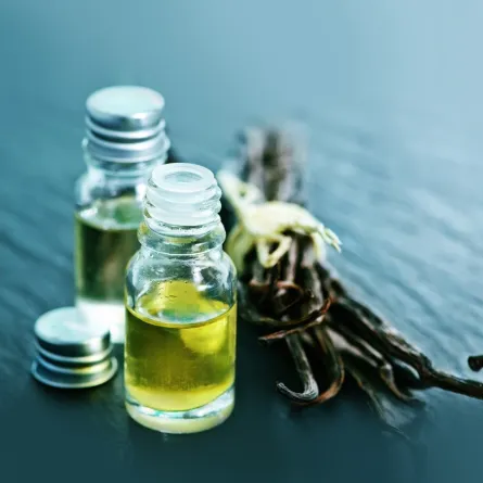 عطور الفانيليا