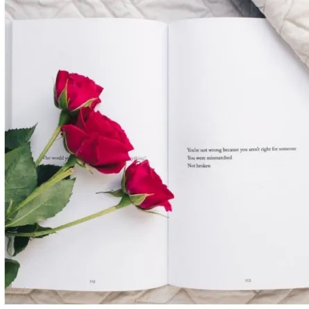 كتب رومانيسة