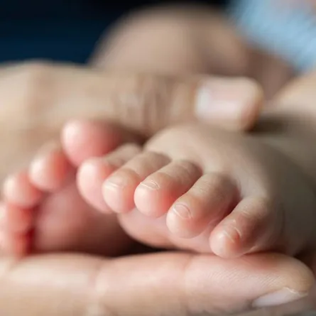 صورة تعبيرية عن الأمومة