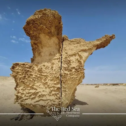 شركة البحر الأحمر للتطوير