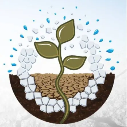 الاحتفال باليوم العالمي للتربة