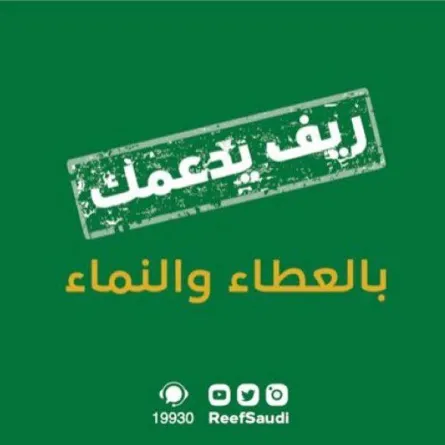 برنامج ريف يكشف عن موعد إيداع الدعم لشهر ديسمبر 2021