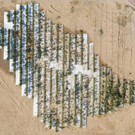 شعار السعودية الخضراء