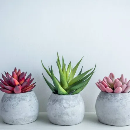 ديكورات أسمنتية للحديقة  