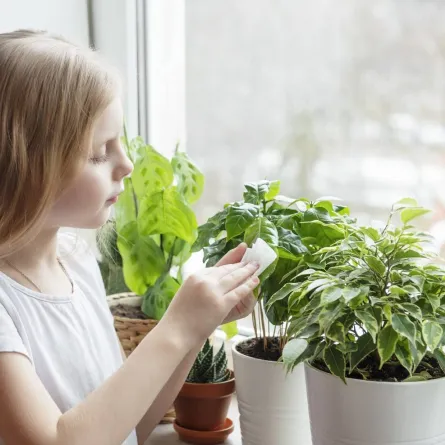 صورة لفتاة تنسق الأزهار