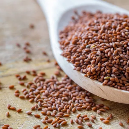 فوائد حب الرشاد للنساء