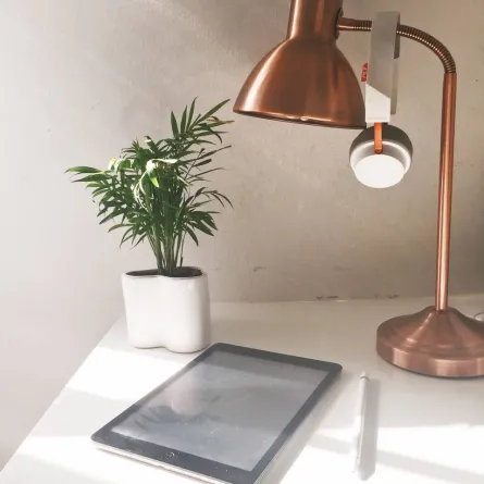 أبل - الصورة من موقع elements.envato