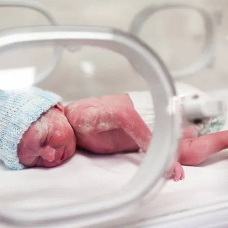 صورة خديج في الحاضنة