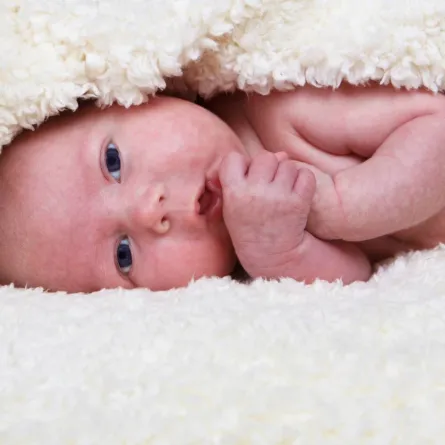 صورة لطفل رضيع