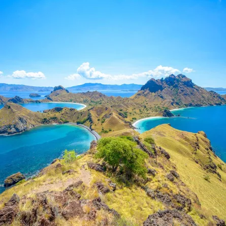 جزيرة كومودو