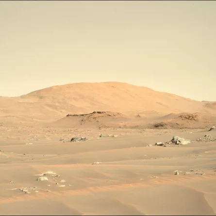 كوكب المريخ