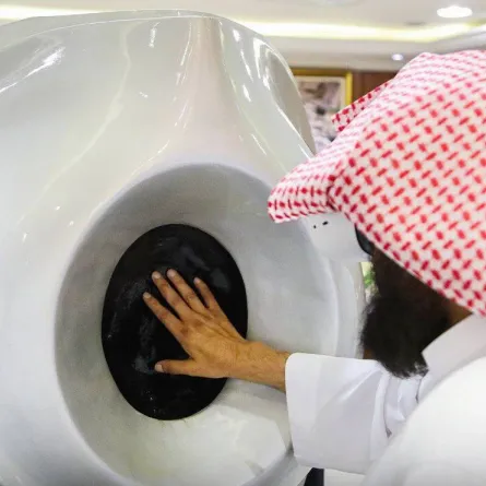 معلومات عن مبادرة الحجر الأسود الافتراضي