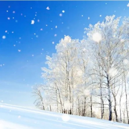 القارة القطبية الجنوبية