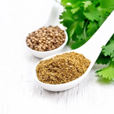 فوائد الكزبرة الناشفة للنساء