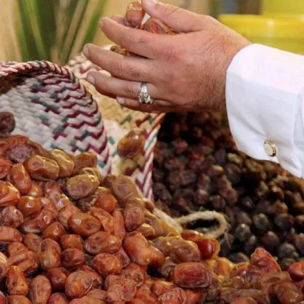 السعودية تقود برنامج تطوير النخيل على مستوى العالم