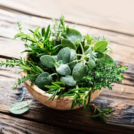 فوائد عشبة عصا الراعي