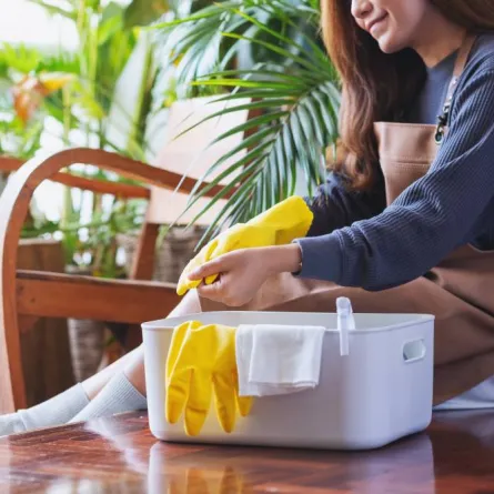 مسح الأسطح وتنظيفها بعد رش المبيدات