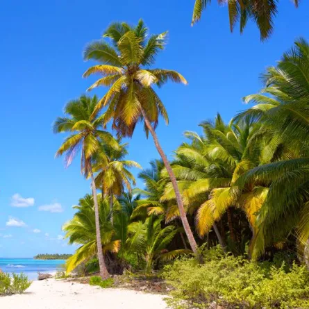 أجمل اماكن شهر العسل في شهر يناير