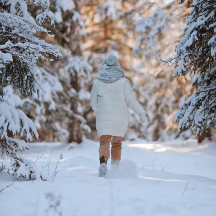 الانقلاب الشتوي وكيف يحدث