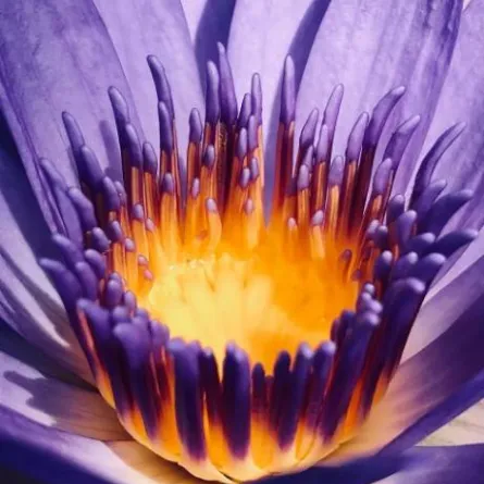 أفضل صور 2021