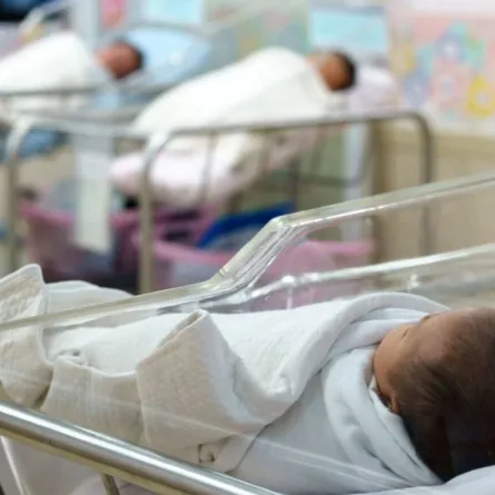 "صحة أبوظبي" تعلن بدء إصدار شهادات الميلاد للمواليد الجدد رقميًا - الصورة من الموقع الإلكتروني للمكتب الإعلامي لحكومة أبوظبي