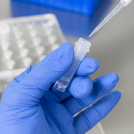 الإمارات الأولى عالميا في مؤشر مرونة التعامل مع كورونا. الصورة من "وام"