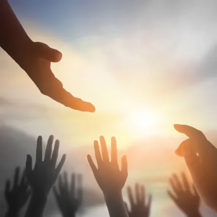  اليوم الدولي للتضامن الإنساني