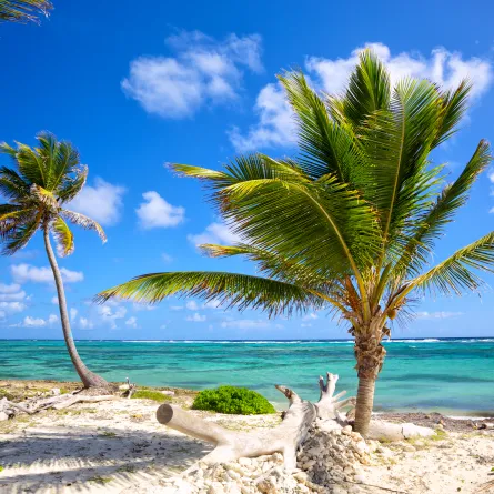 أفضل الوجهات الشتوية المشمسة لعام 2021