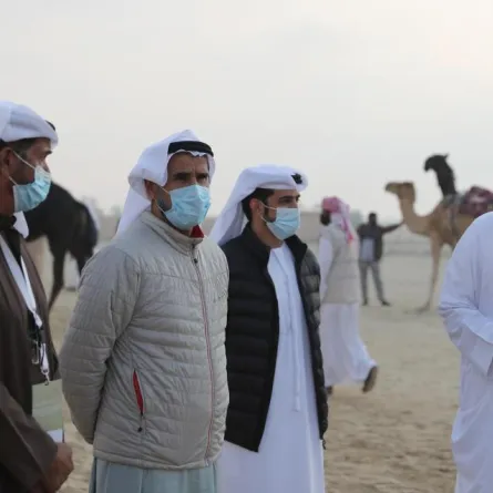 بدء مسابقات مزاينة الإبل في الظفرة وسط مشاركات إماراتية وخليجية واسعة