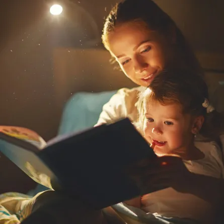 قصص للأطفال:  زواج الزرافة ..سوسن