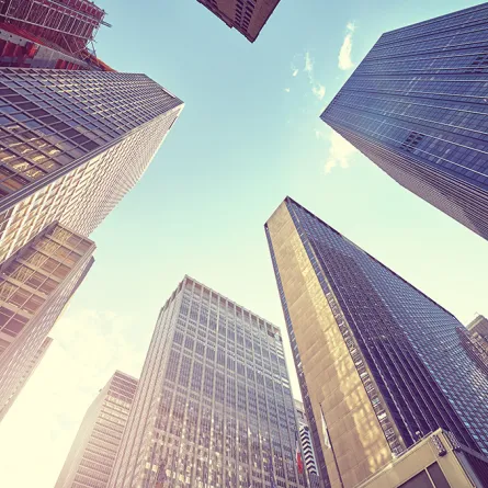 ناطحات سحاب من الإسفنج، وبطاريات من الفاكهة